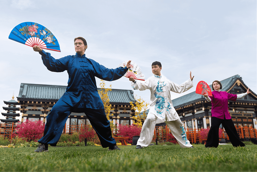 low-angle-people-practicing-tai-chi-outdoors